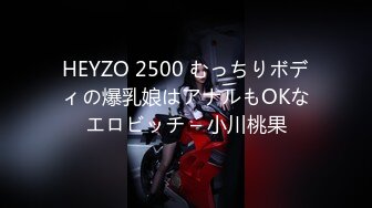 HEYZO 2500 むっちりボディの爆乳娘はアナルもOKなエロビッチ – 小川桃果