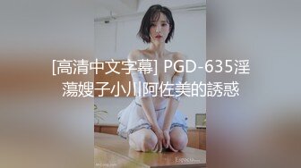 [高清中文字幕] PGD-635淫蕩嫂子小川阿佐美的誘惑