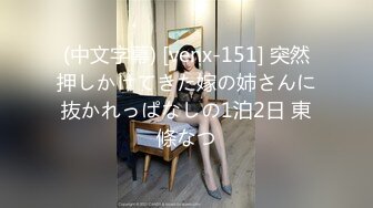 (中文字幕) [venx-151] 突然押しかけてきた嫁の姉さんに抜かれっぱなしの1泊2日 東條なつ