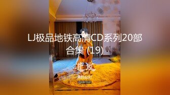 LJ极品地铁高清CD系列20部合集 (19)