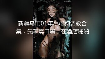 新疆乌市01年小母狗调教合集，先车震口爆，在酒店啪啪