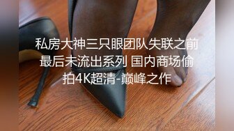 私房大神三只眼团队失联之前最后未流出系列 国内商场偷拍4K超清-巅峰之作