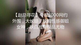 【赵总寻花】今夜3000网约外围，大长腿，妩媚性感御姐女神，肤白翘臀极品尤物