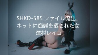 SHKD-585 ファイル流出、ネットに痴態を晒された女 澤村レイコ